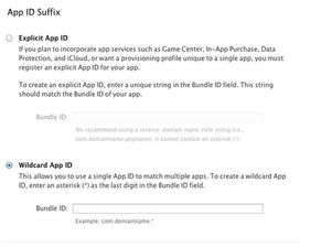 iOS软件开发 如何调整电脑环境以适配真机测试及计算机软件开发与维修